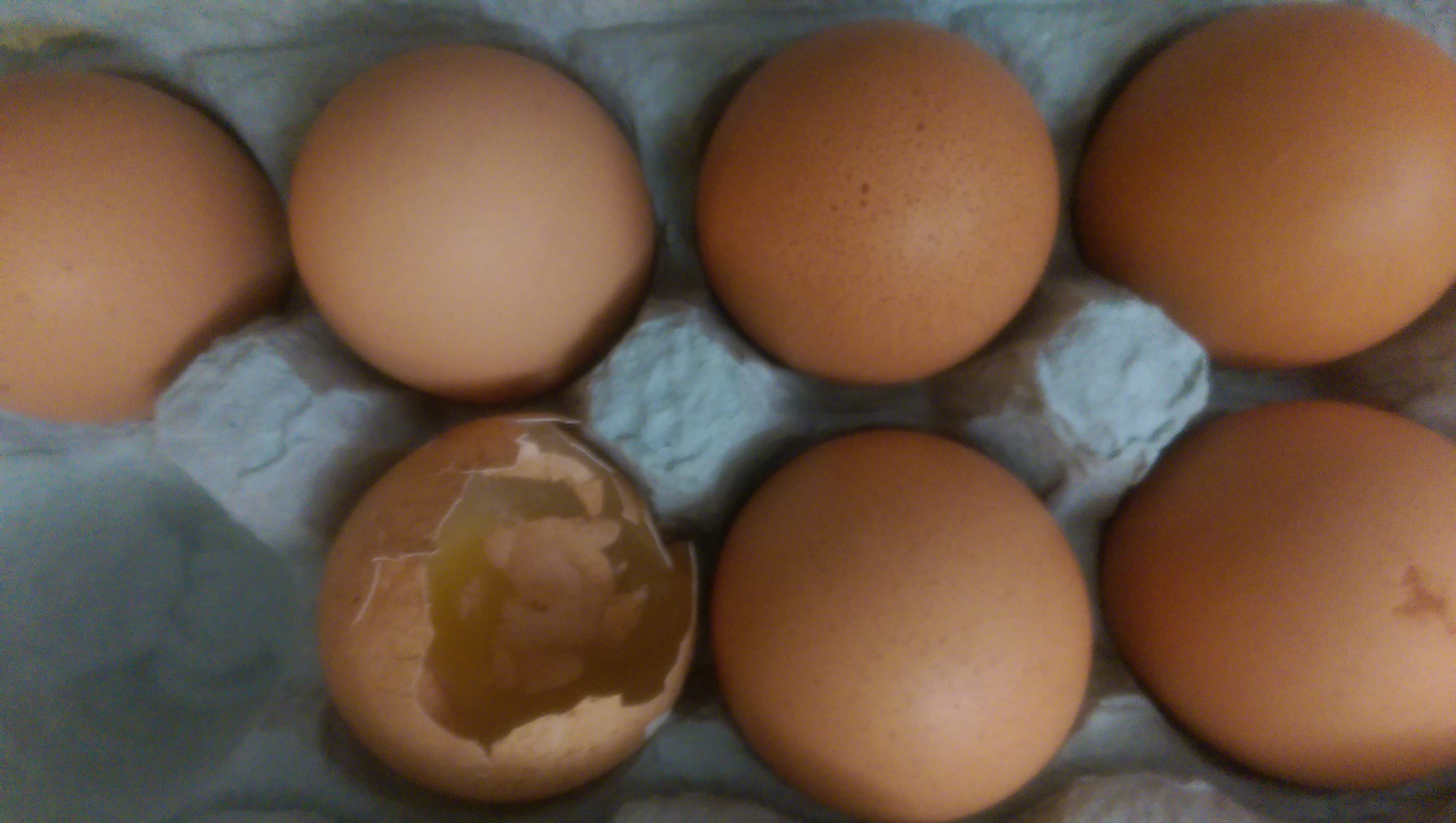 A carton of brown eggs, one broken and full of yolk.
