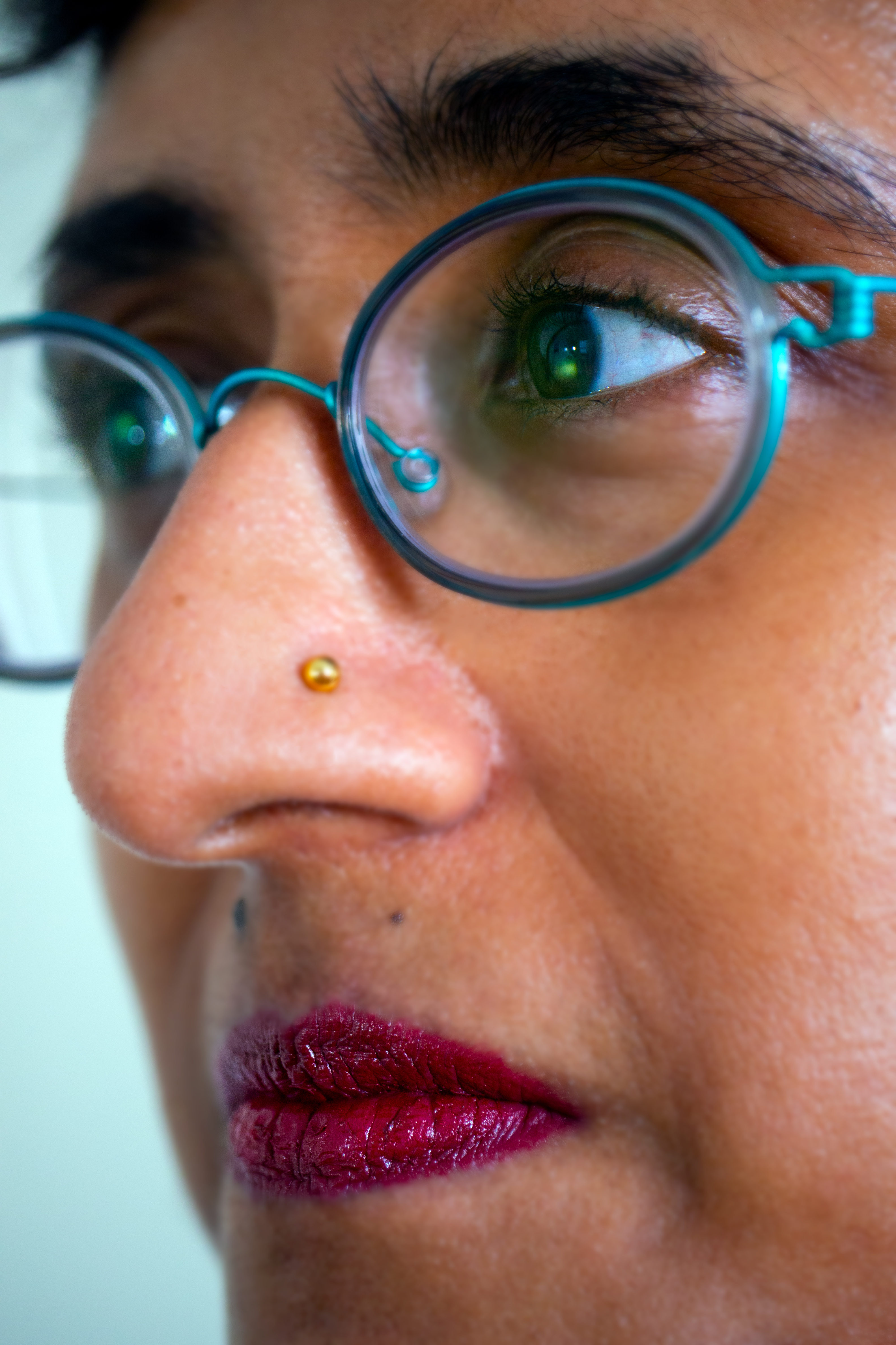Gold piercing in a brown nose.