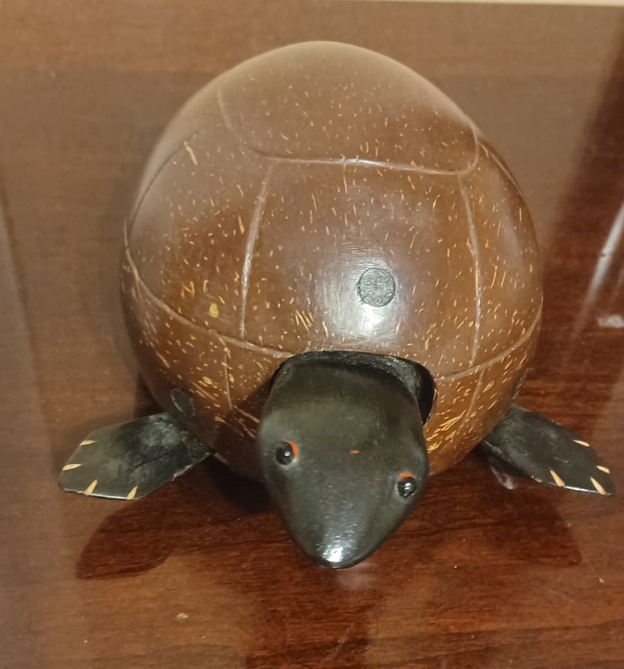 A carved coconut shell tortoise with a bobbing head and flippers sits on a cherry veneer table.